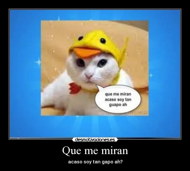Carteles de Pato Pag. 139 | Desmotivaciones Carteles de Pato Pag. 139 | Desmotivaciones