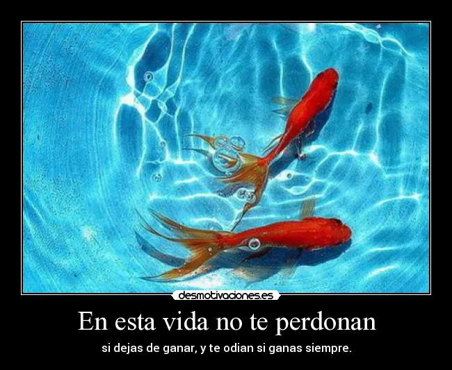 Carteles de Peces Pag. 14 | Desmotivaciones