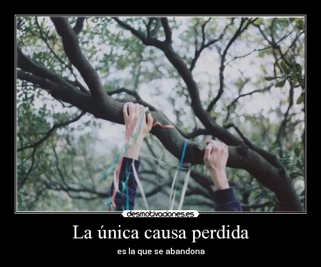Carteles de Perdidas Pag. 19 | Desmotivaciones Carteles de Perdidas Pag. 19 | Desmotivaciones