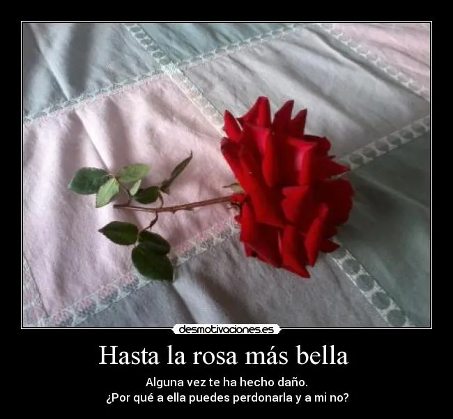 Carteles de Perdoname Pag. 7 | Desmotivaciones Carteles de Perdoname Pag. 7 | Desmotivaciones