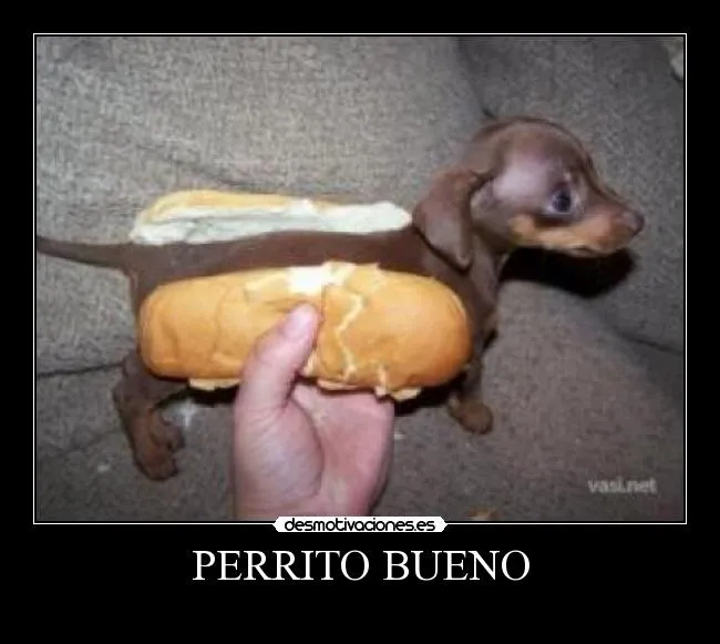 Carteles de Peritos Pag. 1 | Desmotivaciones Carteles de Peritos Pag. 1 | Desmotivaciones