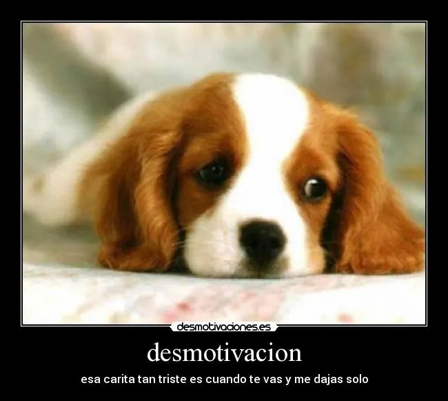 Carteles de Perrito Pag. 149 | Desmotivaciones Carteles de Perrito Pag. 149 | Desmotivaciones