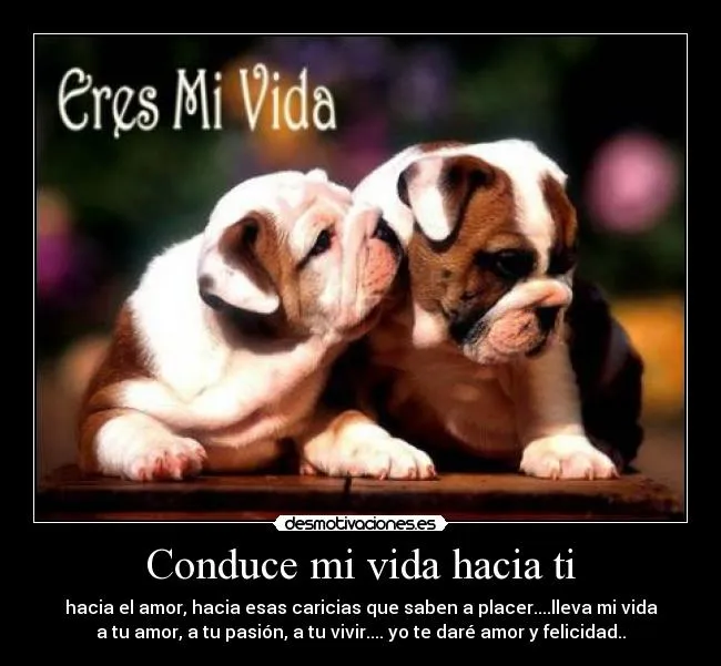 Carteles de Perritos Pag. 21 | Desmotivaciones