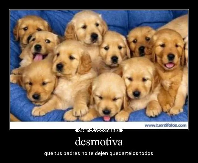 Carteles de Perritos Pag. 7 | Desmotivaciones Carteles de Perritos Pag. 7 | Desmotivaciones