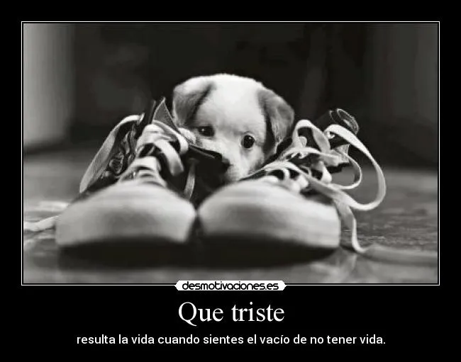 Desmotivaciones de perros tristes - Imagui