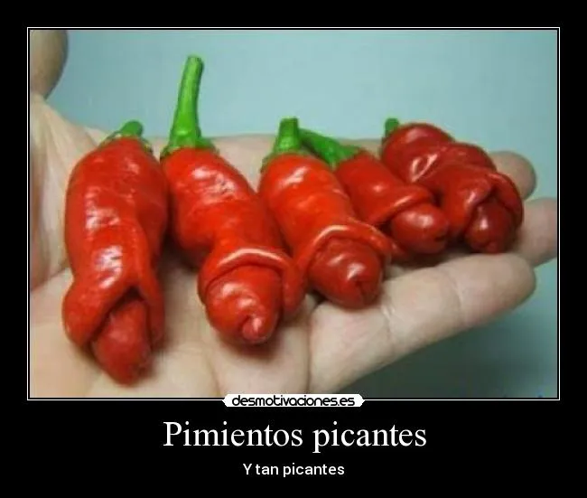 Carteles de Picantes | Desmotivaciones