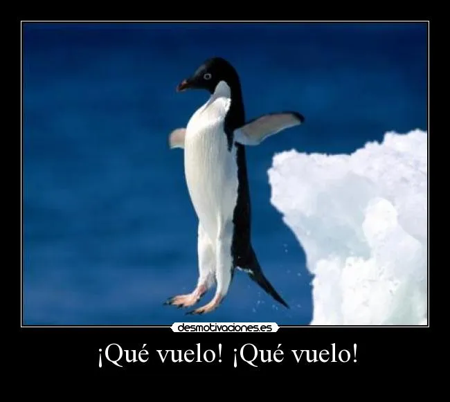 Carteles de Pinguino Pag. 22 | Desmotivaciones