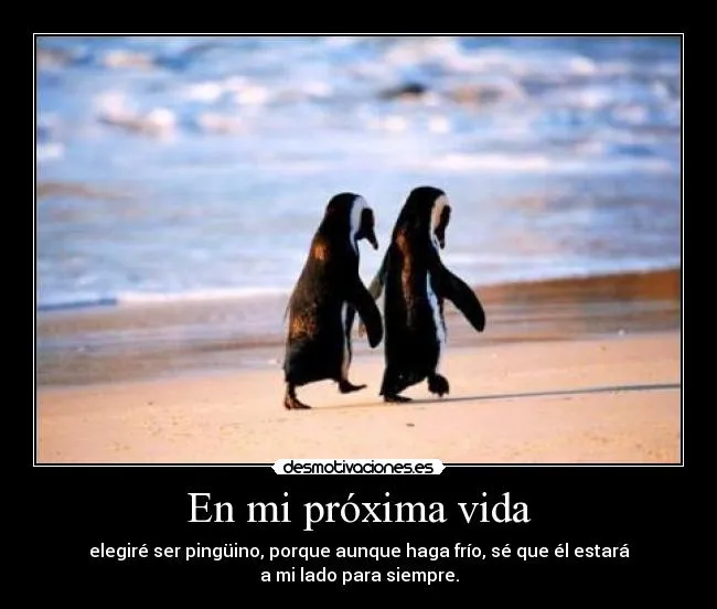 En mi próxima vida | Desmotivaciones