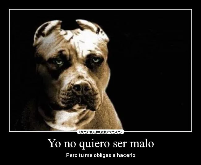 Carteles de Pitbull Pag. 20 | Desmotivaciones