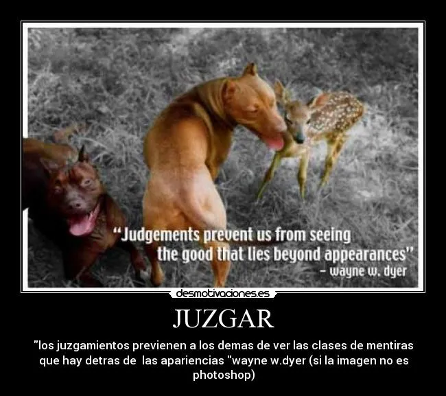Carteles de Pitbulls Pag. 1 | Desmotivaciones Carteles de Pitbulls Pag. 1 | Desmotivaciones