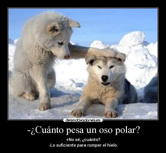 Carteles de Polar | Desmotivaciones