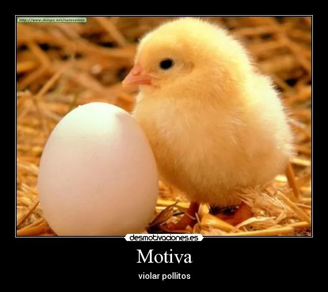 Carteles de Pollita | Desmotivaciones