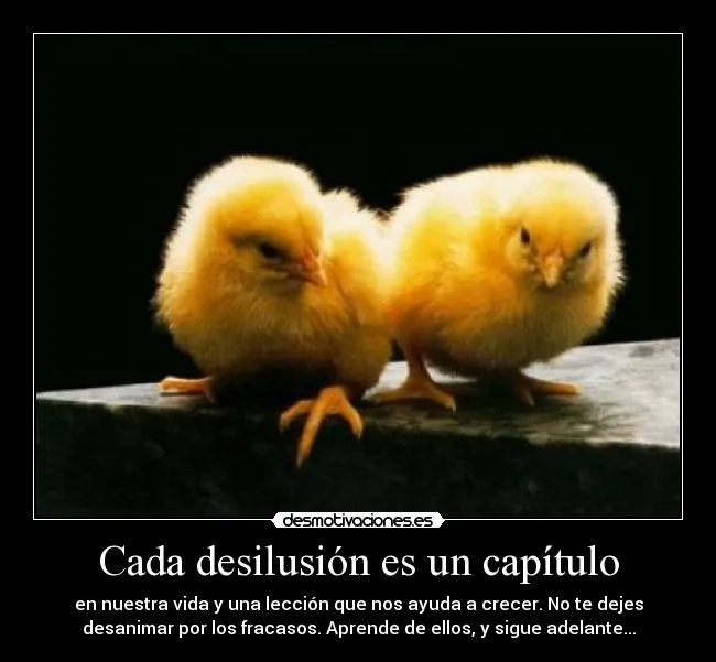 Carteles de Pollita | Desmotivaciones