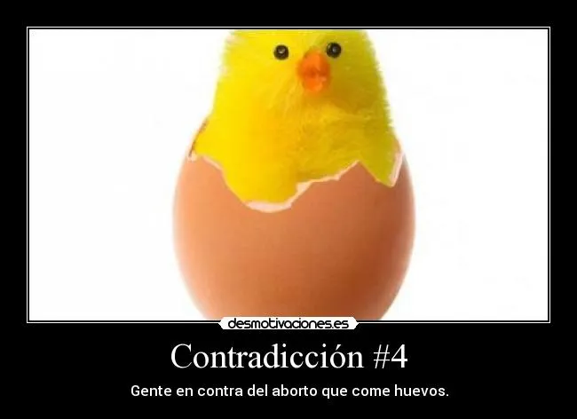 Carteles de Pollito | Desmotivaciones