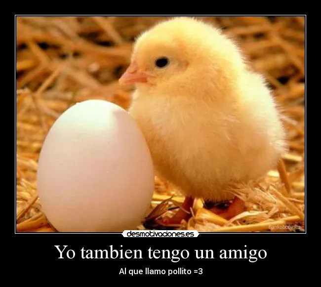 Carteles de Pollito Pag. 24 | Desmotivaciones Carteles de Pollito Pag. 24 | Desmotivaciones