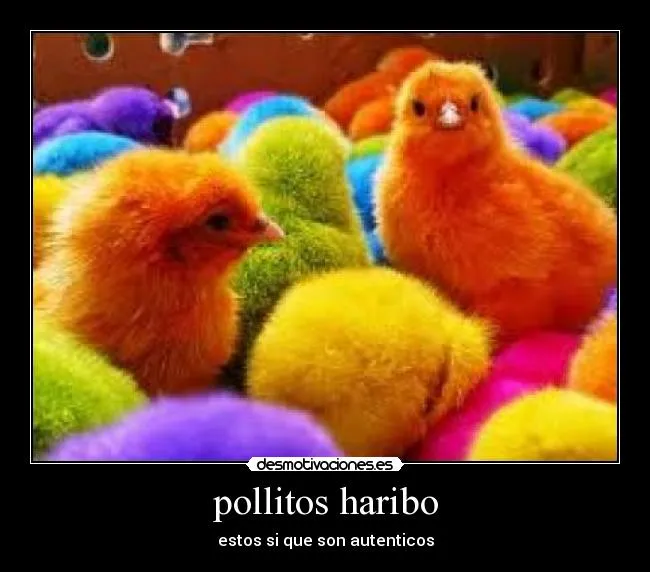 Carteles de Pollitos | Desmotivaciones