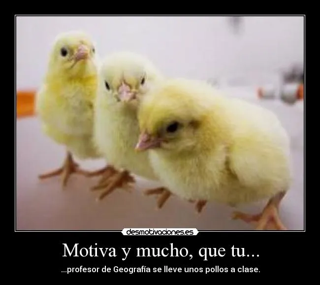Carteles de Pollitos Pag. 6 | Desmotivaciones Carteles de Pollitos Pag. 6 | Desmotivaciones