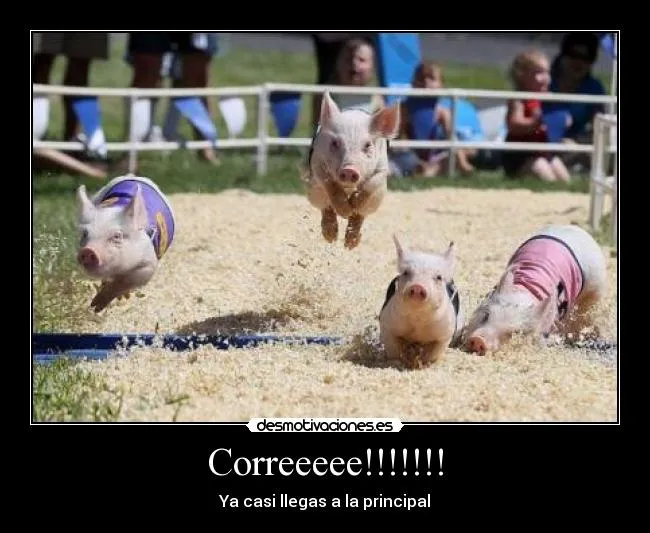 Carteles de Puercos Pag. 3 | Desmotivaciones