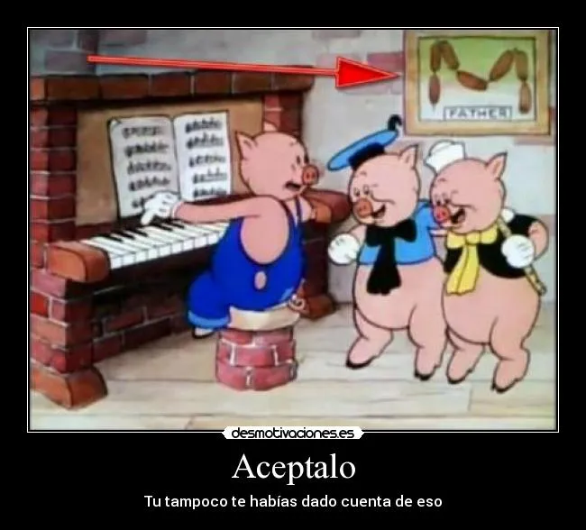 Carteles de Puerquitos | Desmotivaciones