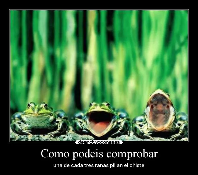 Carteles de Ranas Pag. 2 | Desmotivaciones