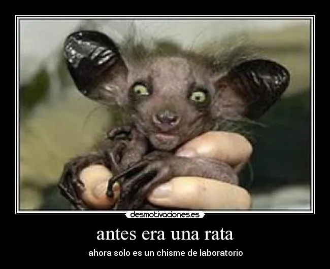 Carteles de Ratas Pag. 24 | Desmotivaciones Carteles de Ratas Pag. 24 | Desmotivaciones
