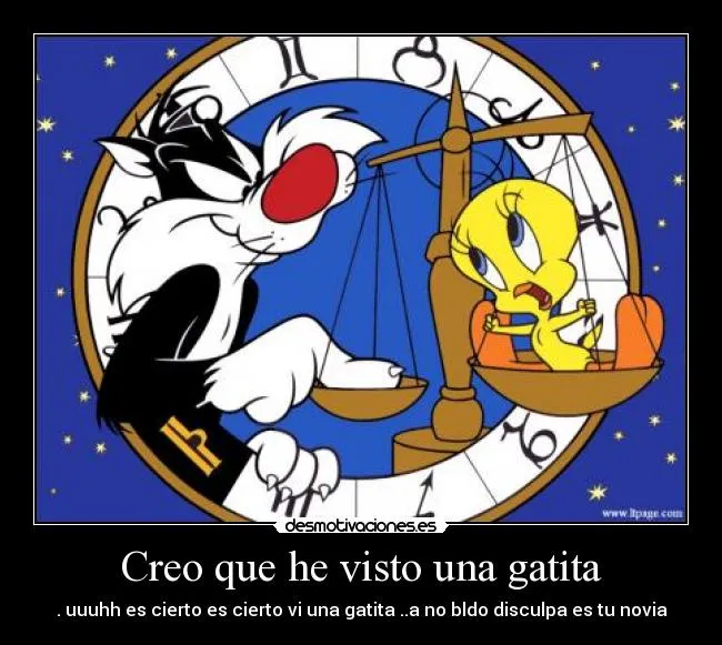 Creo que he visto una gatita | Desmotivaciones Creo que he visto una gatita | Desmotivaciones