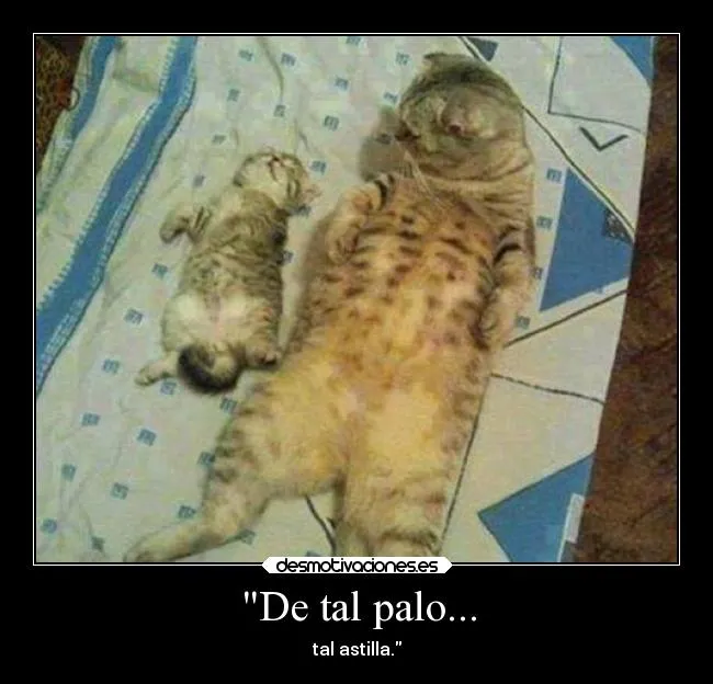 Carteles de Refran | Desmotivaciones