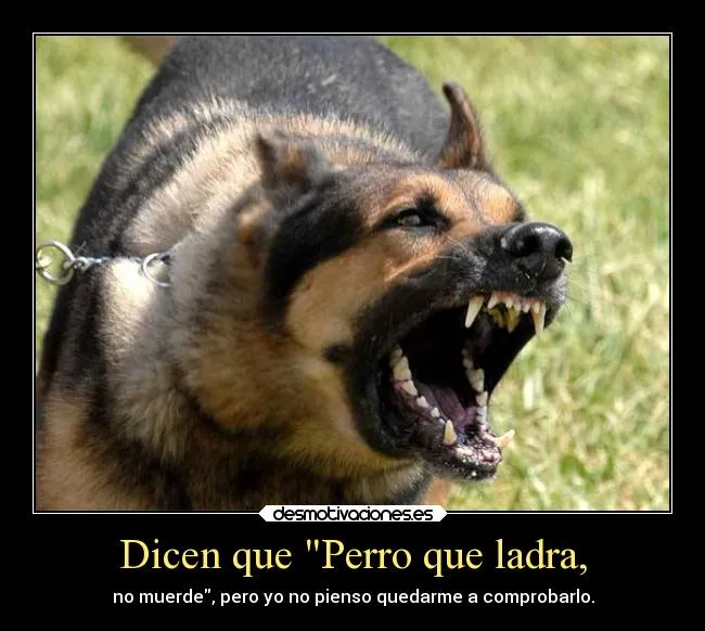 Carteles de Refran Pag. 12 | Desmotivaciones Carteles de Refran Pag. 12 | Desmotivaciones