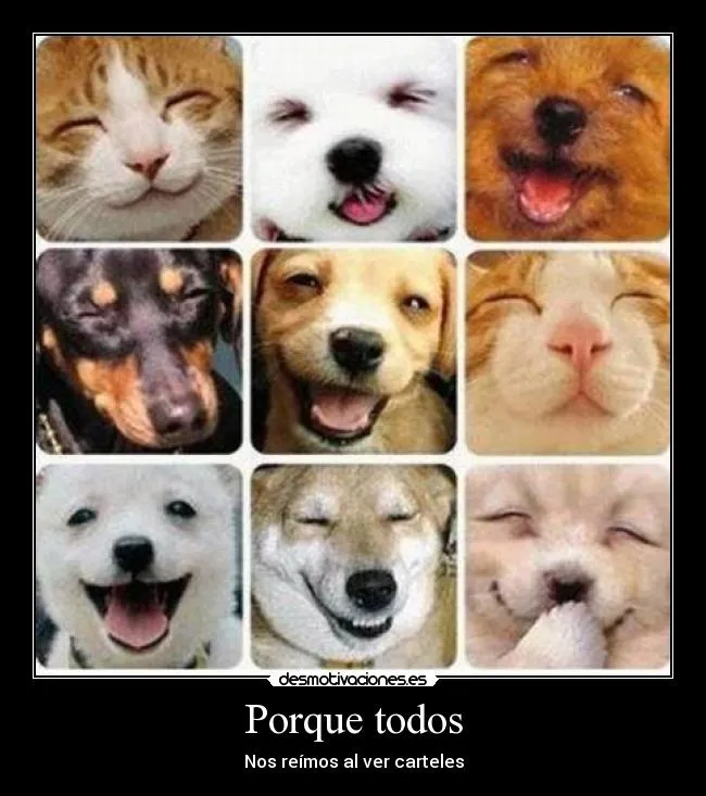 Carteles de Riendose Pag. 8 | Desmotivaciones