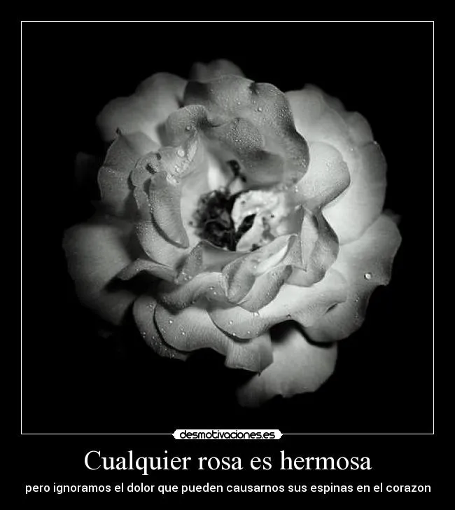 Usuario: Centurion | Desmotivaciones