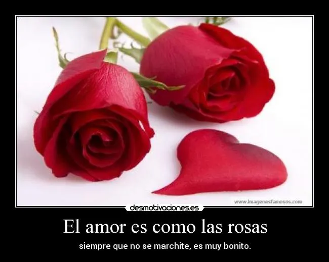 Carteles de Rosas Pag. 51 | Desmotivaciones Carteles de Rosas Pag. 51 | Desmotivaciones