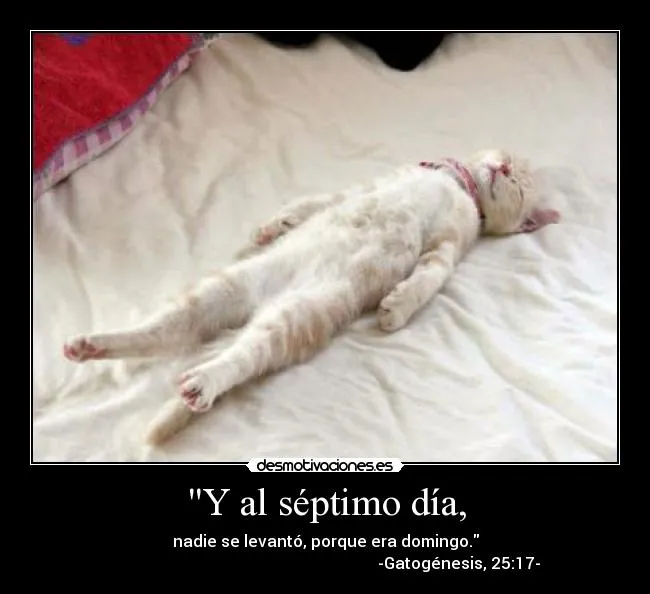 Carteles de Sabado | Desmotivaciones