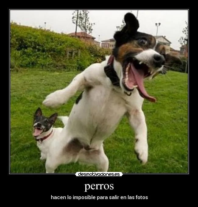 Carteles de Saltando Pag. 6 | Desmotivaciones