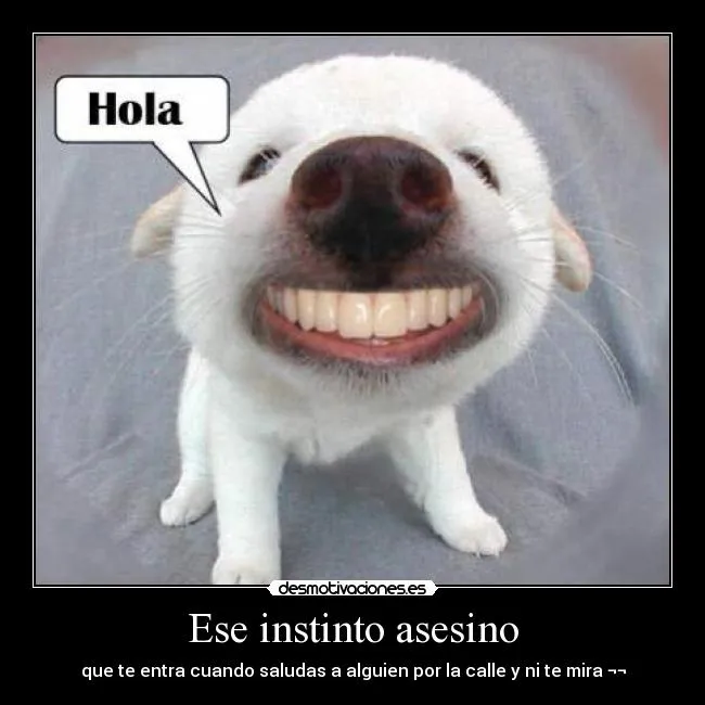Imagenes de saludos graciosos - Imagui