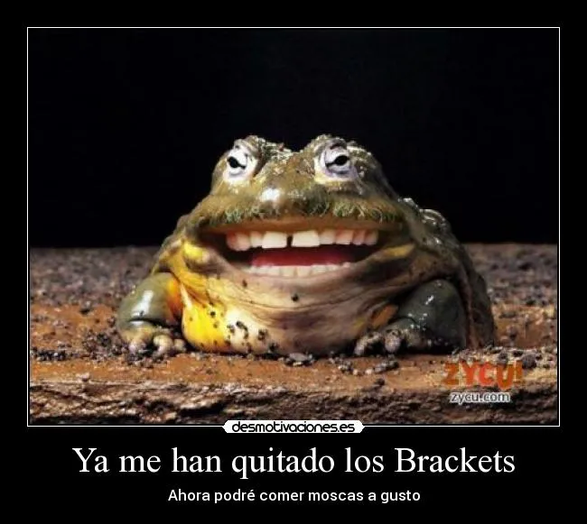 Carteles de Sapos | Desmotivaciones