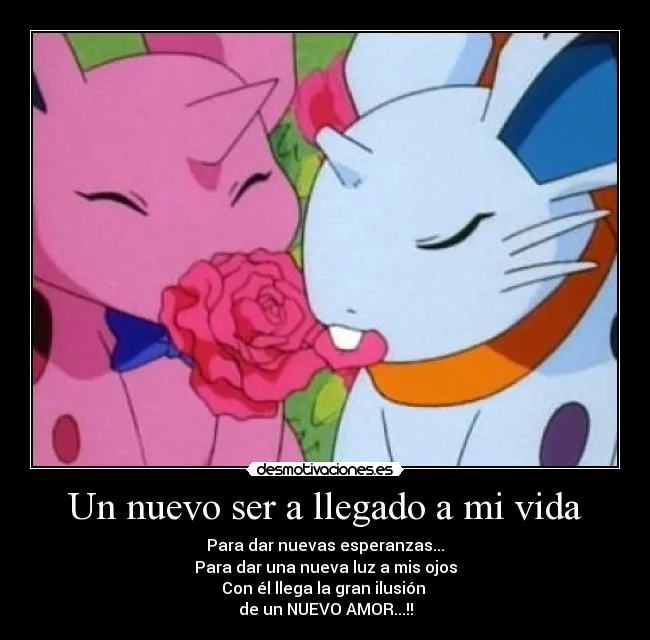 Un nuevo amor en mi vida - 1 fotos e imágenes gratis - Imagui