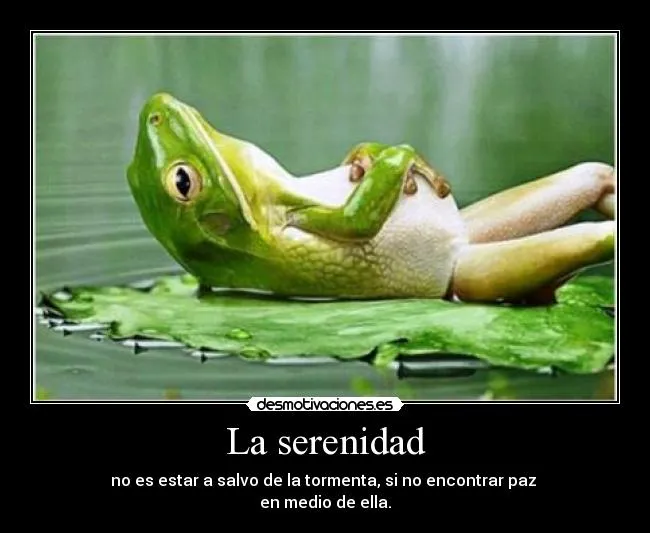 Carteles de Serenidad Pag. 3 | Desmotivaciones