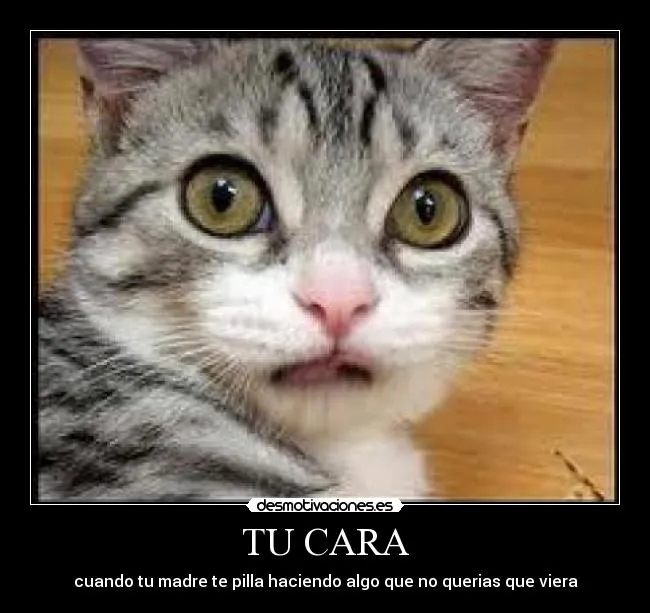 Imagenes con caras sorprendidas - Imagui