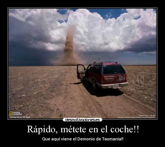 Carteles de Tasmania | Desmotivaciones