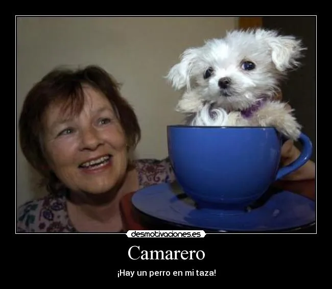 Carteles de Taza Pag. 8 | Desmotivaciones