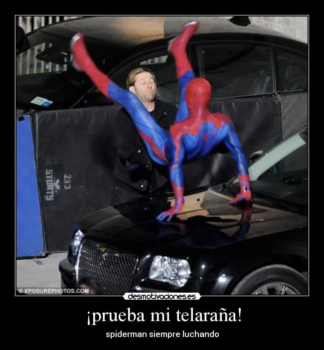 Carteles de Telarana Pag. 6 | Desmotivaciones