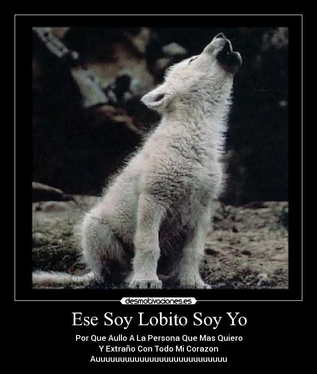 Carteles de Ternura Pag. 36 | Desmotivaciones