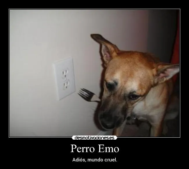 Carteles de Thetato1998 Pag. 6 | Desmotivaciones Carteles de Thetato1998 Pag. 6 | Desmotivaciones