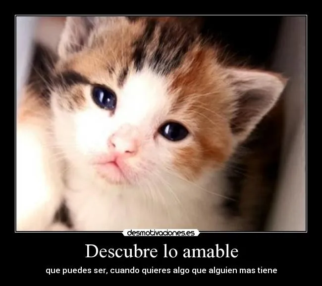 Carteles de Tierna Pag. 2 | Desmotivaciones Carteles de Tierna Pag. 2 | Desmotivaciones