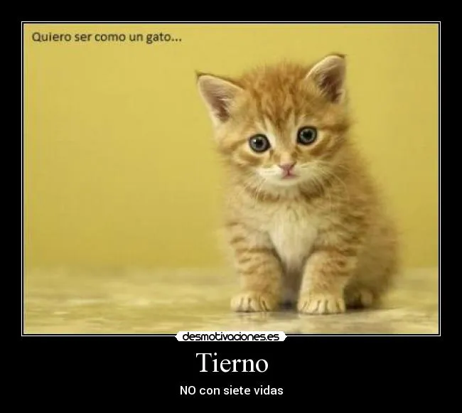 Tierno | Desmotivaciones
