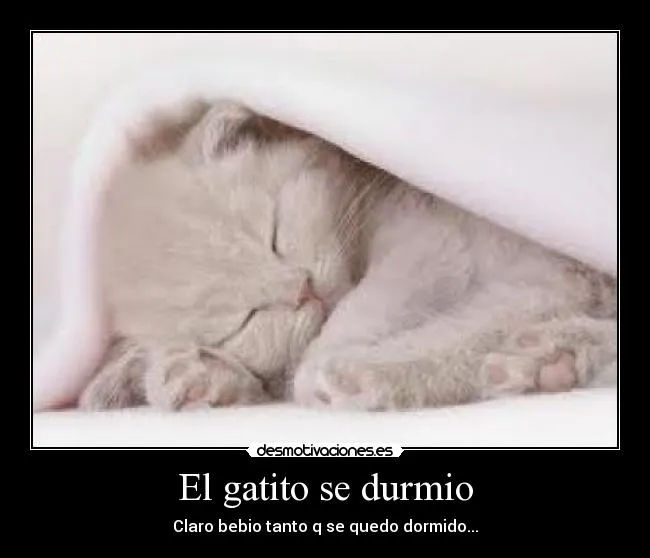 Carteles de Tierno Pag. 87 | Desmotivaciones