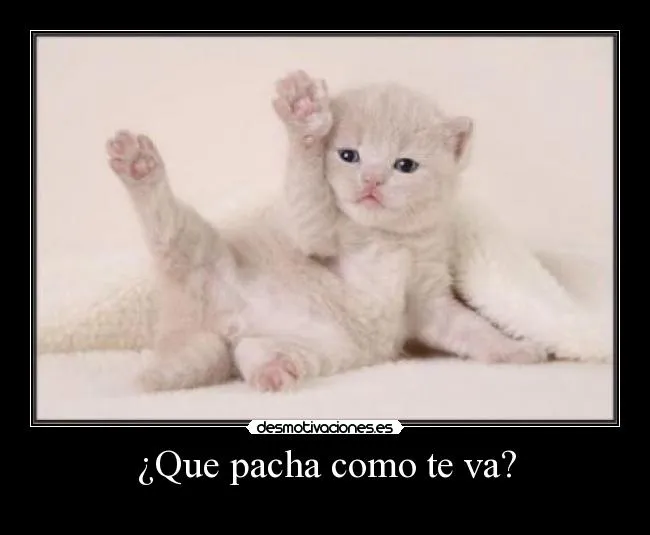 Carteles de Tierno Pag. 4 | Desmotivaciones