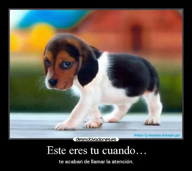 Carteles de Tiernos | Desmotivaciones
