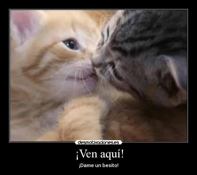 Carteles de Tiernos Pag. 6 | Desmotivaciones Carteles de Tiernos Pag. 6 | Desmotivaciones