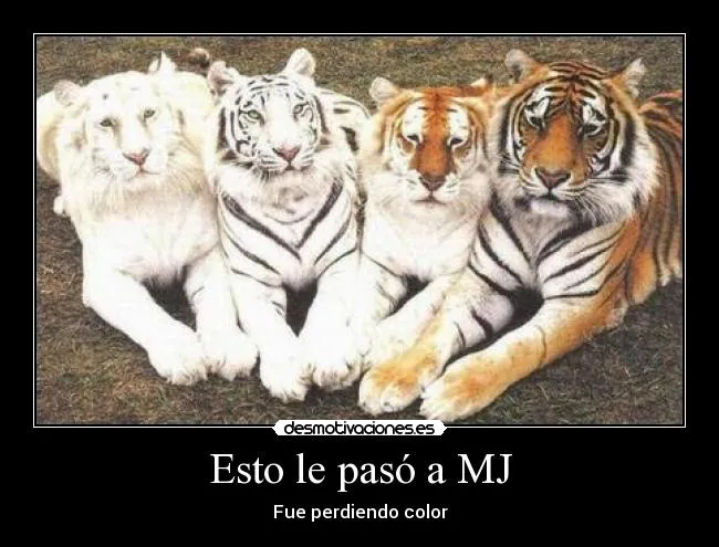 Carteles de Tigres | Desmotivaciones